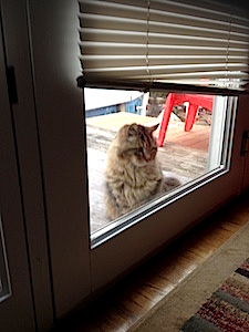 Shades of Gray_Mr Gray 2