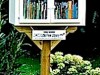 Little Free Library Scheme at risk from City Bureaucrat Shortsightedness…