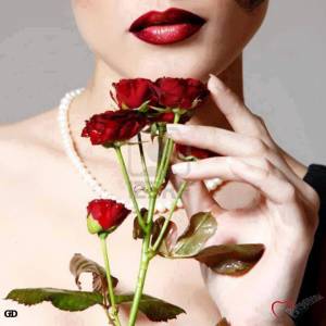 11252759_412309418955492_3717823445605413262_n