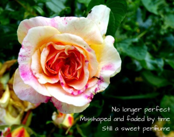 No longer perfect Misshaped and faded by time Still a sweet perfume