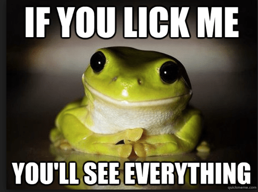 Screen Shot 2015-05-04 at 12.04.50 PM