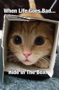 When Life Goes Bad, Hide in a Box