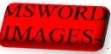 wordimage