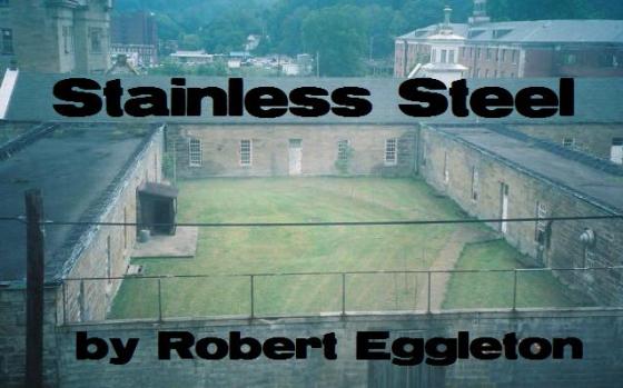 Stainless Steel by Robert Eggleton