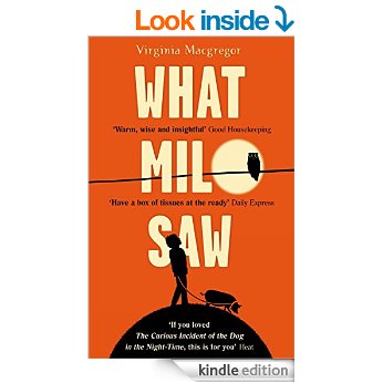 What Milo Saw by Virginia Macgregor