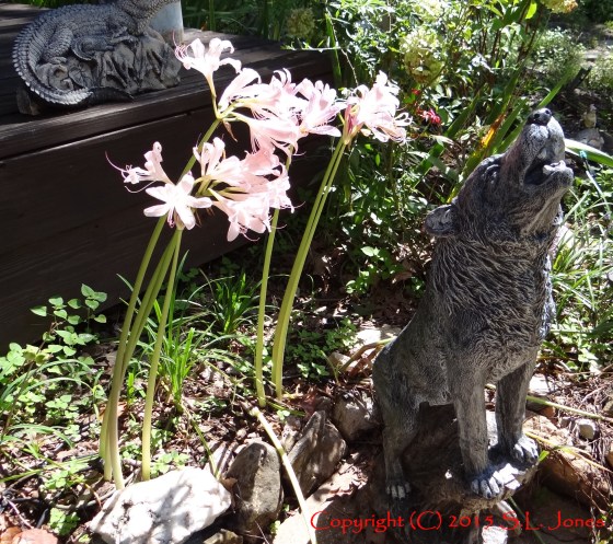 Wolf, Surprise Lillies, Naked Ladies, The Wolf's Moon, Patrick Jones, Audiobook