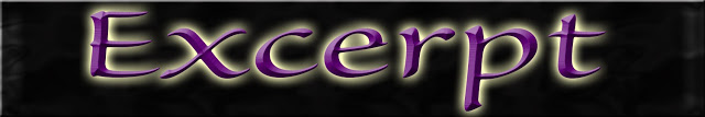  Excerpt