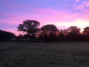 12111952_10152975366667132_1571058823038708466_n