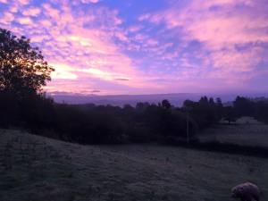 12115535_10152975366747132_3099344637367544412_n