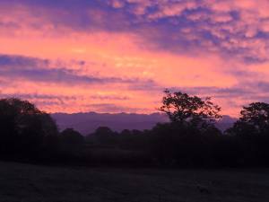 12119022_10152975366622132_8032248272719282049_n