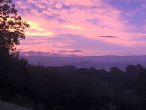 12141528_10152975366727132_6276213294386330003_n