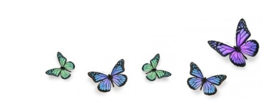 butterfly header