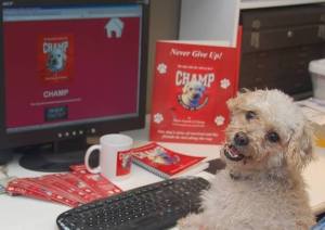 fiona chams interview