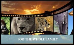 anna trailer for africa