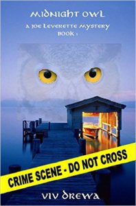 Midnight Owl by Viv Drewa