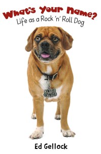 whats-your-name-ed-gellock-794x1200