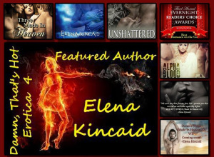 Elena Kincaid Banner 2