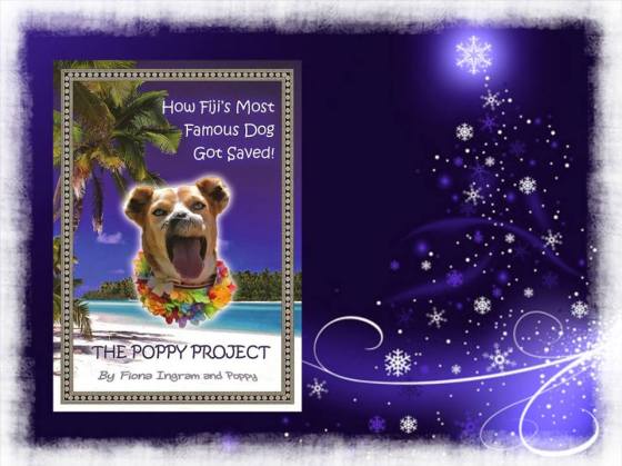 fiona poppy christmas