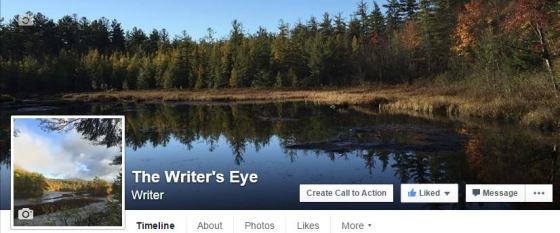aaron writers eye banner