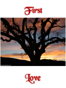 First Love cover