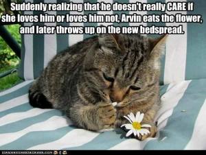 He Doesn't Really Care If She Loves Him