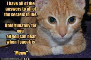 I Have All the Answers