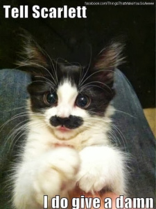 Tell Scarlett I Do Give a Damn