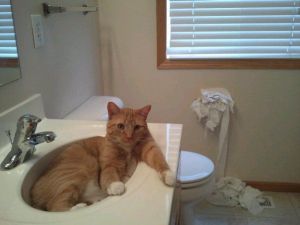 What Are You Talking About