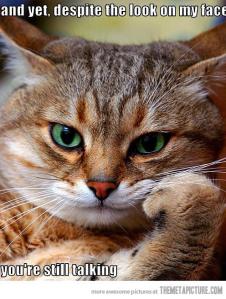 You're Still Talking