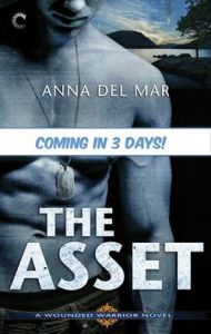 anna asset 3 days