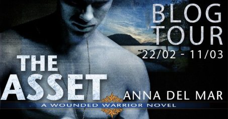 anna d asset blog tour