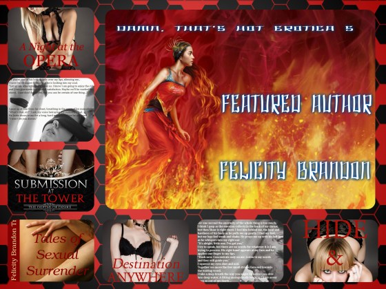 Felicity Brandon Banner 2