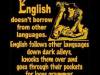 The English Language&nbsp;Meme…