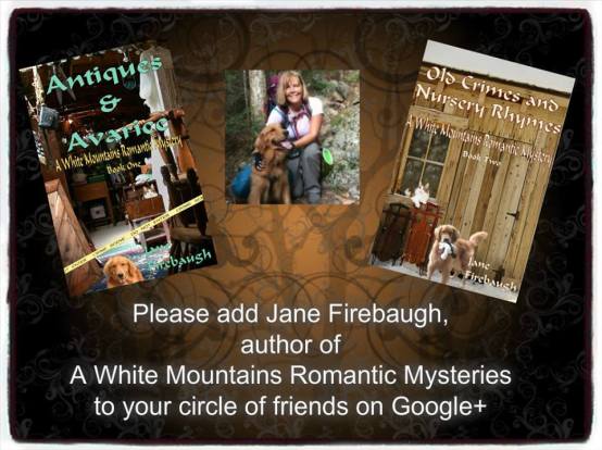 jane two book add to google