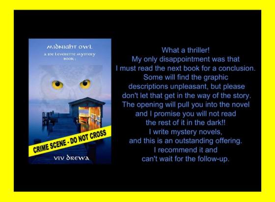 viv midnight owl review 3 22 16