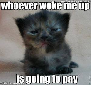 Whoever Woke Me Up is Going to Pay