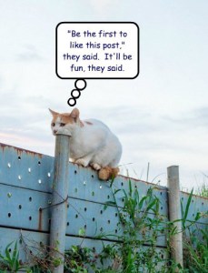 Be the First to Like This Post