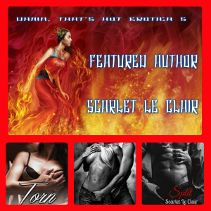 Scarlett Le Clair Banner 2