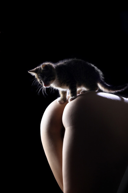 tumblr_m47juwiPMe1qjdnyzo1_500