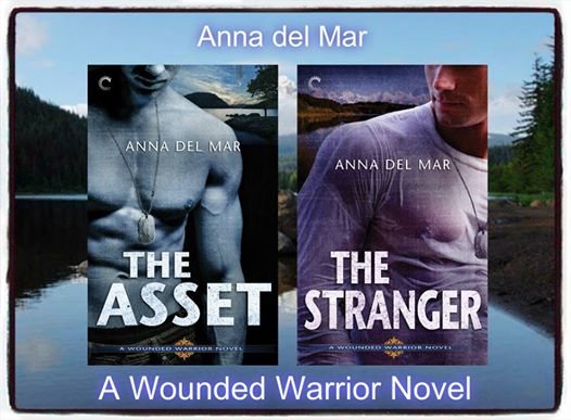 anna d wounded warrior 2 books