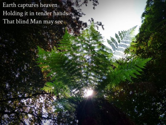 Earth captures heaven, holding it in tender hands, that blind Man may see