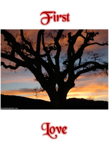 First Love cover