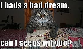 I Hads a Bad Dream