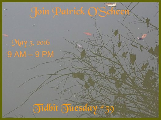 patrick tidbit 5 2 16