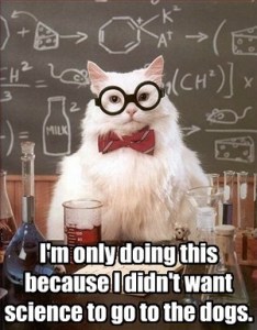 Science Cat