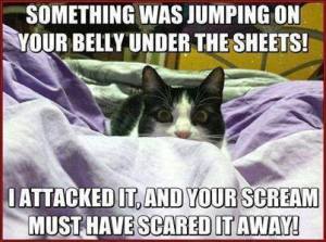 Something Was Jumping