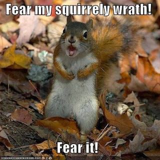 cf987a3e73c395583e4a6c2f2f838474