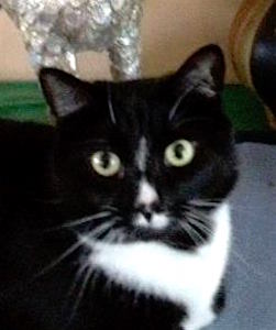 profile-pic_my-name-is-zoe