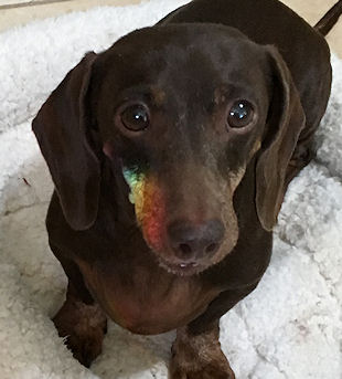 standingintherainbow