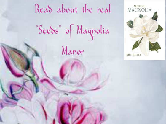 bill-seeds-of-magnolia
